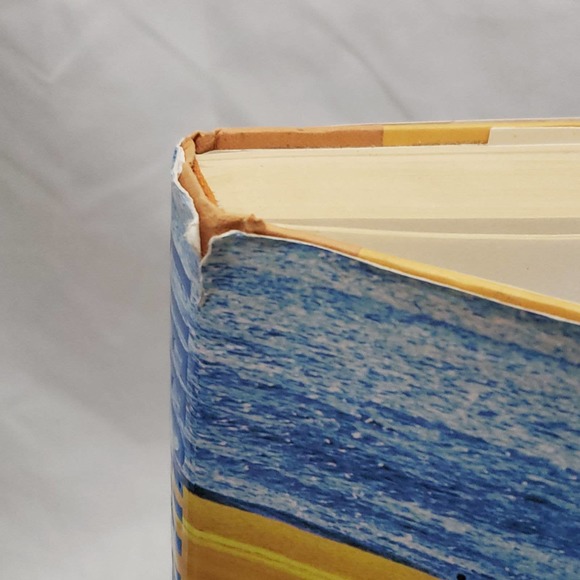 Lifeguard James Patterson Hardcover Andrew Gross Pre-Owned - VERY GOOD - Picture 6 of 11